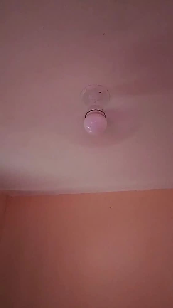 foto de Ventilador De Teto Econômico 6 Pás Maxnova Bocal Com Controle Remoto Lâmpada Luz Led 3 Tons Quarto Sala Cozinha Escritório