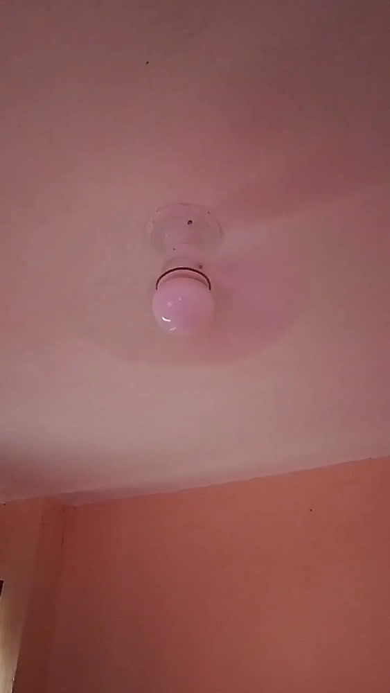 foto de Ventilador De Teto Econômico 6 Pás Maxnova Bocal Com Controle Remoto Lâmpada Luz Led 3 Tons Quarto Sala Cozinha Escritório