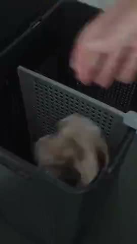 vídeo do produto