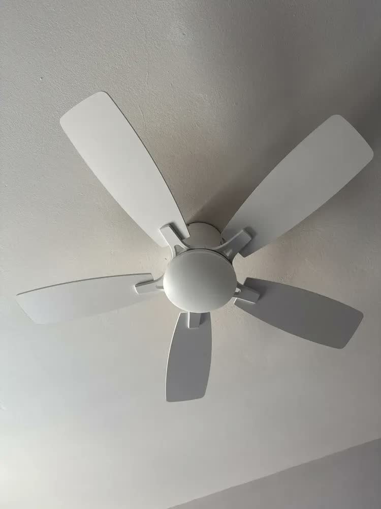 foto de Ventilador de Teto Silencioso com Luz LED, Controle Remoto, 107 cm, 8 Velocidades, Tieesa