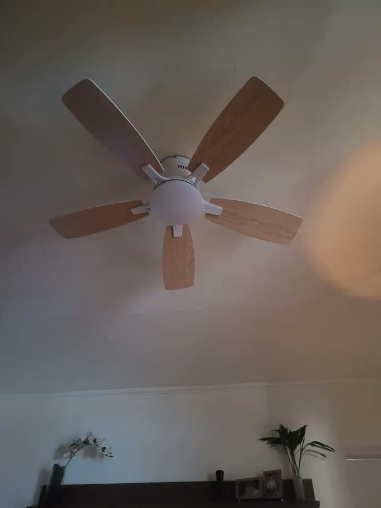 foto de Ventilador de Teto Silencioso com Luz LED, Controle Remoto, 107 cm, 8 Velocidades, Tieesa
