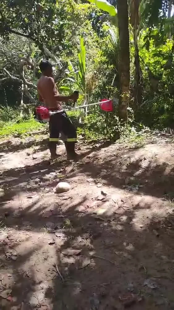 foto de Roçadeira A Gasolina Toyama Tbc52sx Premium 2t 51,6cc Pro