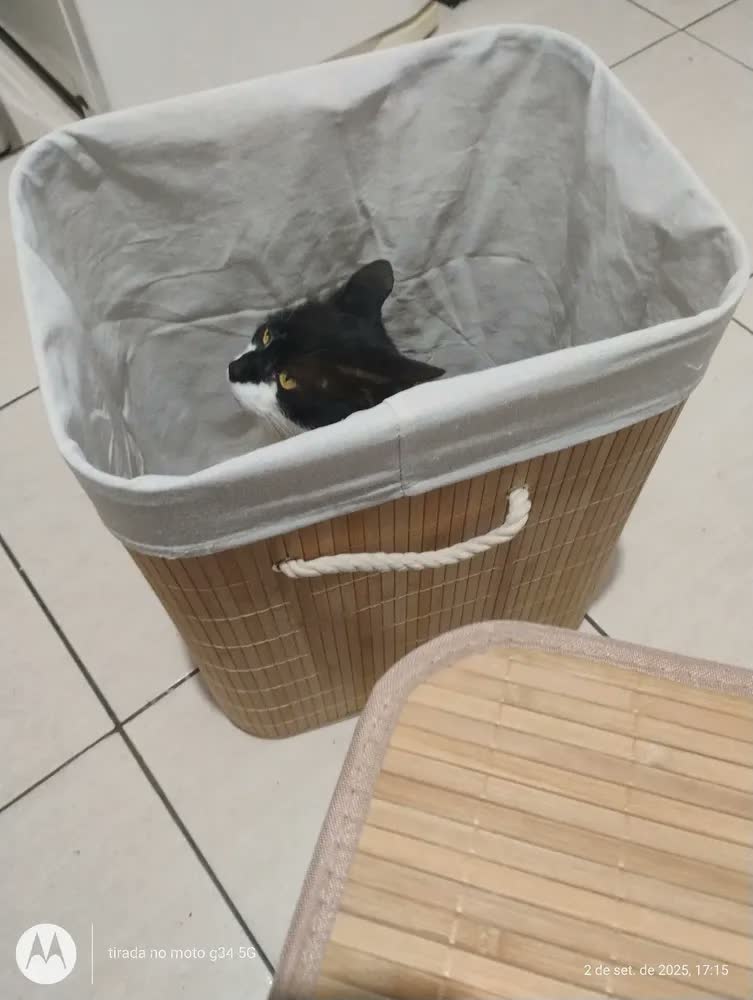 foto de Cesto De Roupa Suja Bambu Retangular Tampa 72l Alça Forrado Bege Liso