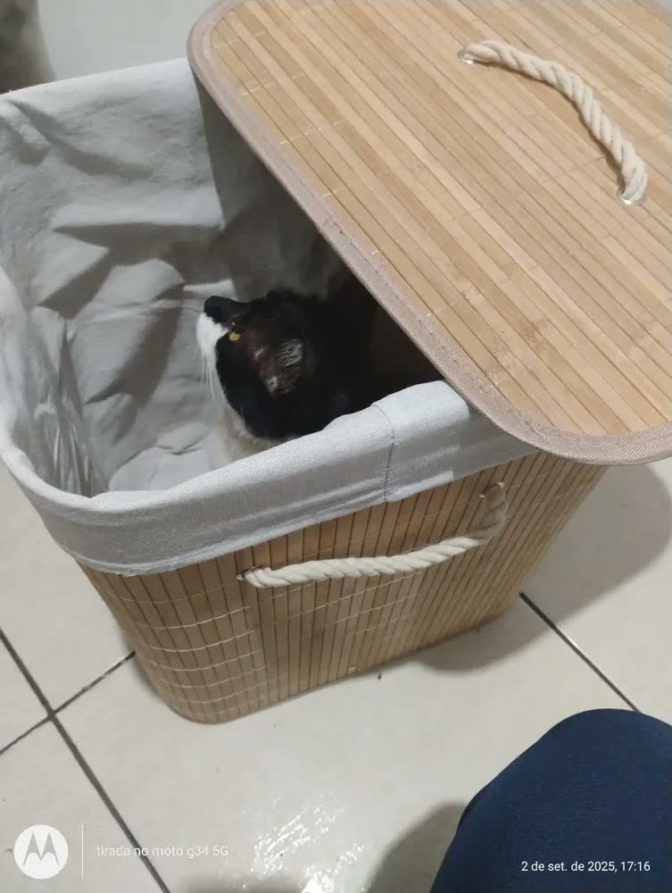 foto de Cesto De Roupa Suja Bambu Retangular Tampa 72l Alça Forrado Bege Liso