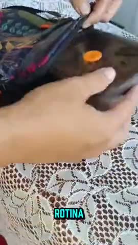 vídeo do produto
