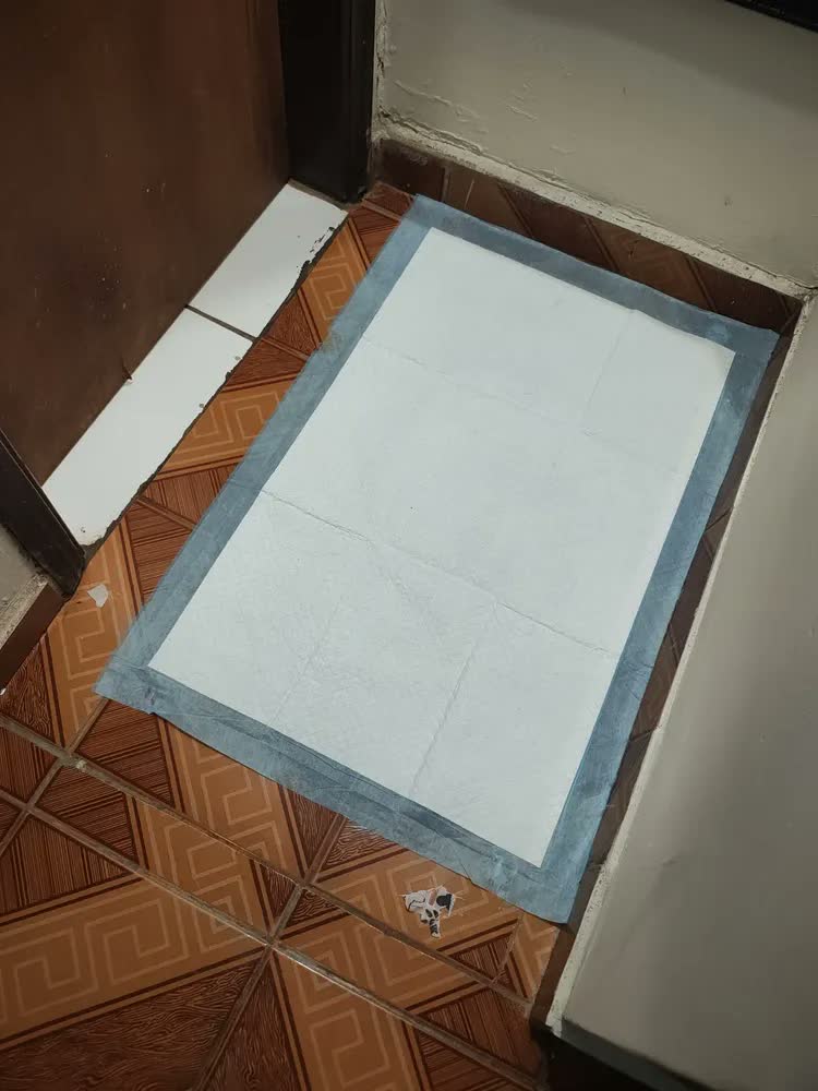 foto de Tapete Higiênico Pet Care Pads Neutro 90x60 Com 50u Unidades Neutro