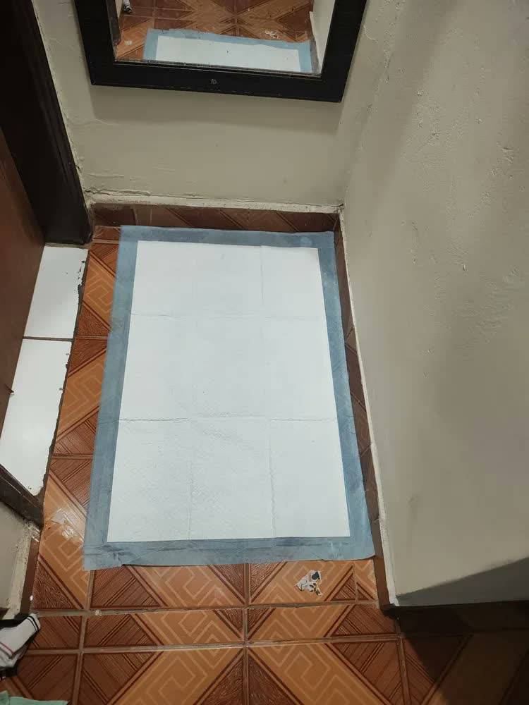 foto de Tapete Higiênico Pet Care Pads Neutro 90x60 Com 50u Unidades Neutro