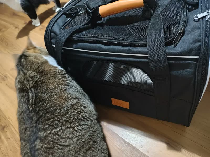 foto de Bolsa Caixa Transporte Pet Cães Gatos Viagem Reforçado 44×31×34cm