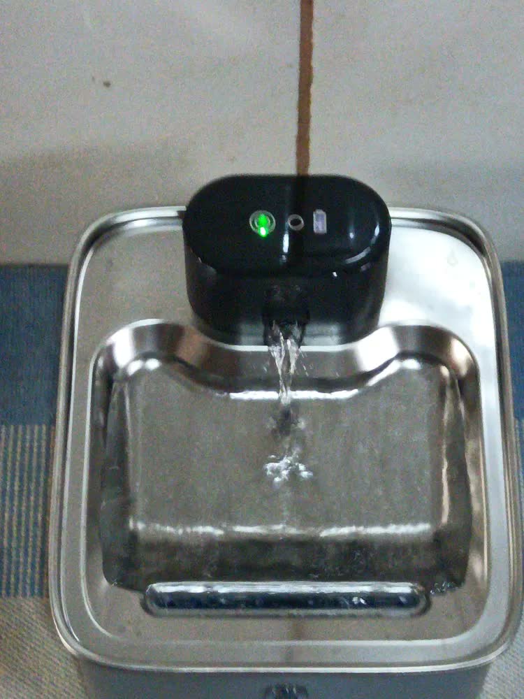 foto de Sensor Sem Fio Bebedouro Fonte Para Gato Cão 3.5L 5000 mAh De Água De Aço Inoxidável Para Gatos E Cãe Prata Bebedouro Automático Sem Fio Para Cães E Gatos Fonte 3.5l 127/220v