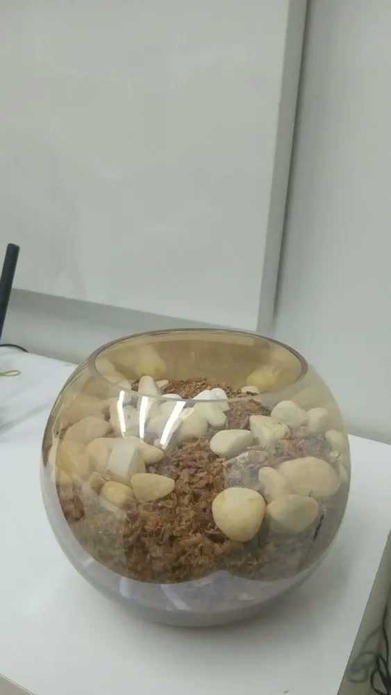 foto de Vaso De Vidro Redondo Aquário Terrário E Plantas Decoração Transparente Liso 2.5l Liso