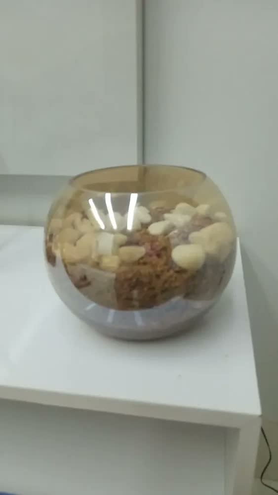 foto de Vaso De Vidro Redondo Aquário Terrário E Plantas Decoração Transparente Liso 2.5l Liso
