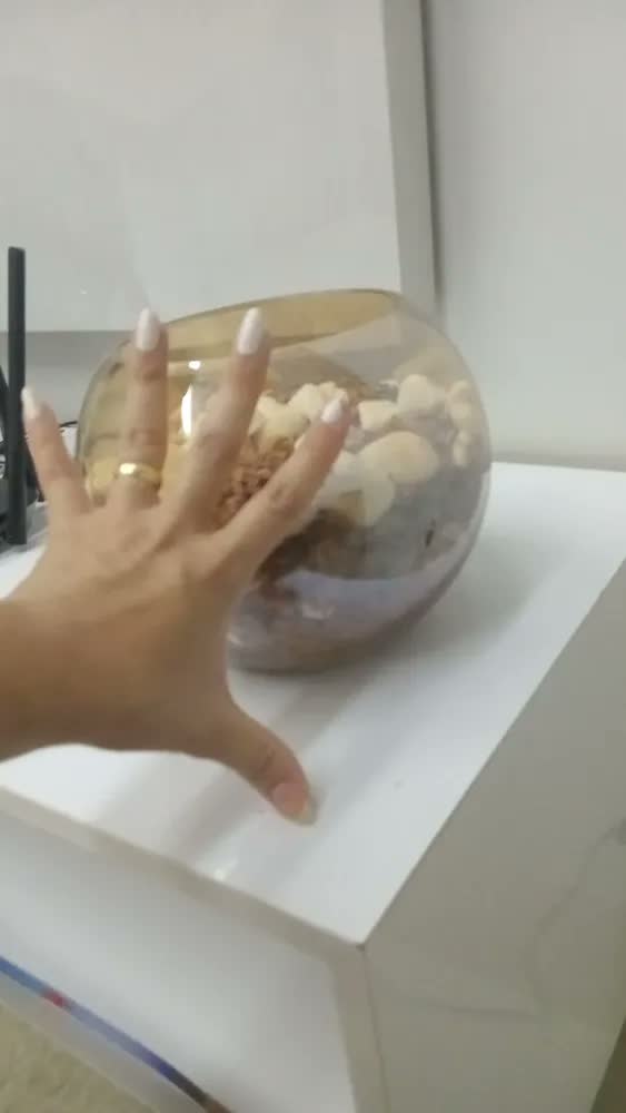 foto de Vaso De Vidro Redondo Aquário Terrário E Plantas Decoração Transparente Liso 2.5l Liso