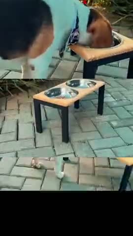 vídeo do produto