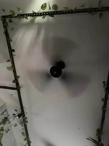 foto de Ventilador De Teto Preto Tron Eco Rio 3 Pás Casa Apartamento Diâmetro 980 mm Frequência 60 Hz Material Das Pás Aço