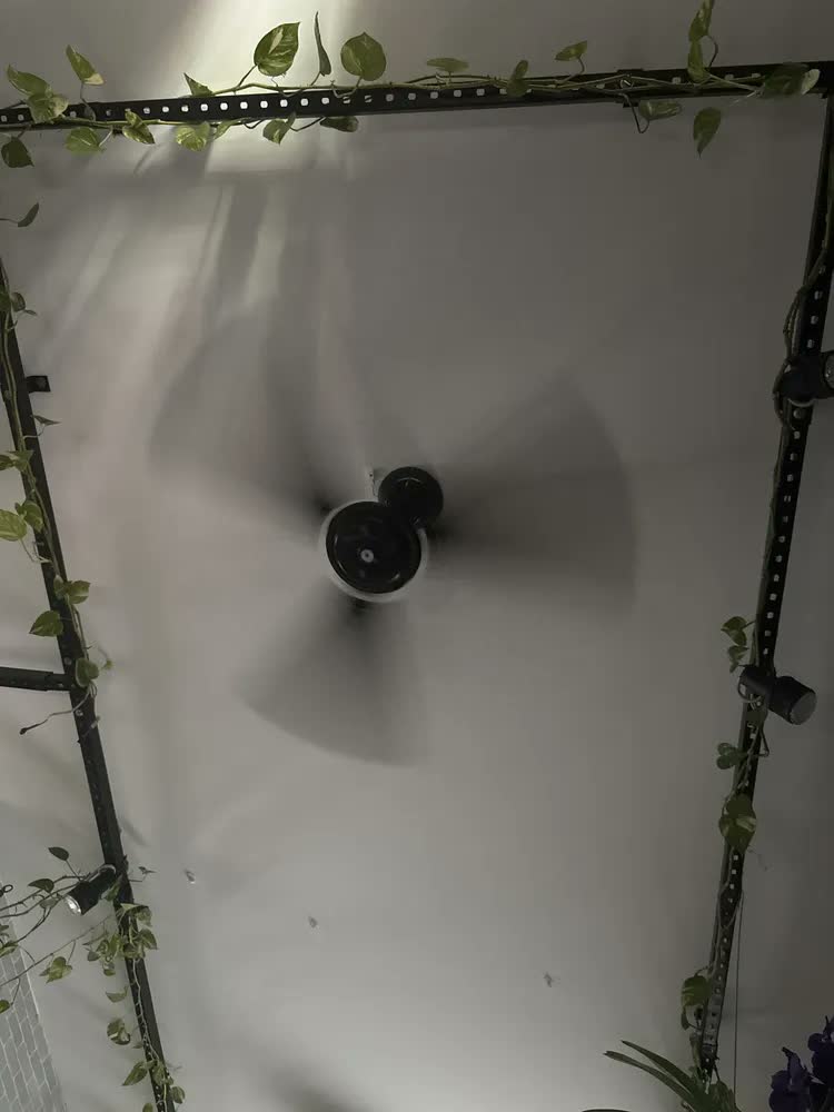 foto de Ventilador De Teto Preto Tron Eco Rio 3 Pás Casa Apartamento Diâmetro 980 mm Frequência 60 Hz Material Das Pás Aço
