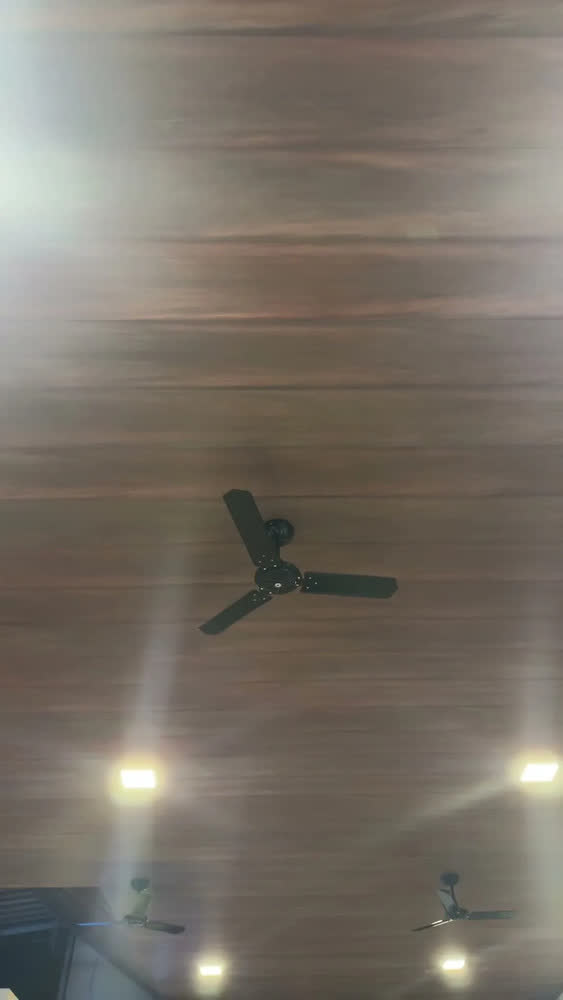 foto de Ventilador De Teto Preto Tron Eco Rio 3 Pás Casa Apartamento Diâmetro 980 mm Frequência 60 Hz Material Das Pás Aço