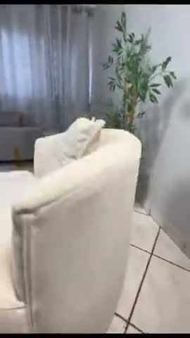 vídeo do produto