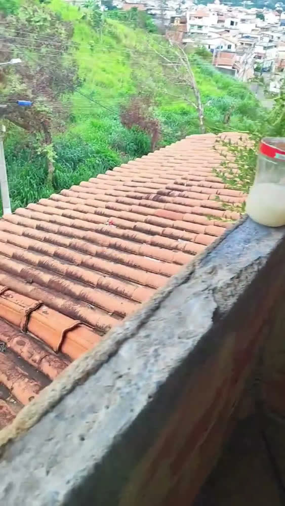 foto de Pistola De Pintura Pulverizadora Pinto Sem Fi 2 Bateria 48v