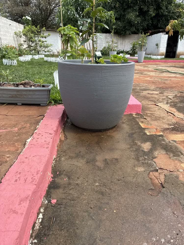 foto de Vaso De P/ Grande Redondo Bojo Grafiato P Árvores Frutíferas Cor Cimento