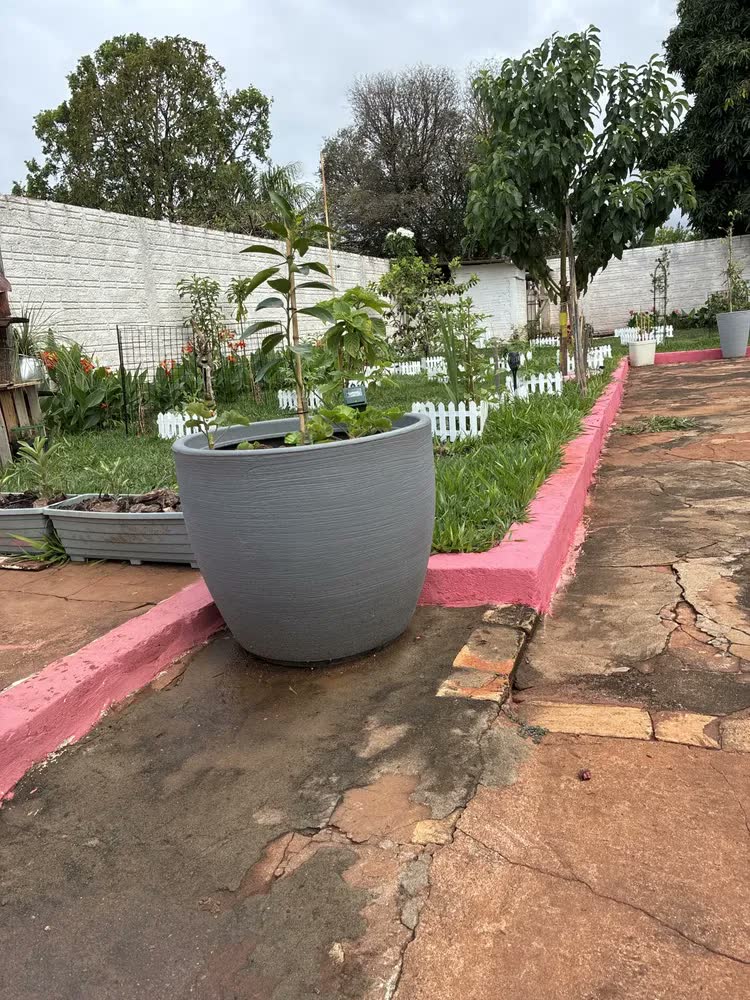 foto de Vaso De P/ Grande Redondo Bojo Grafiato P Árvores Frutíferas Cor Cimento