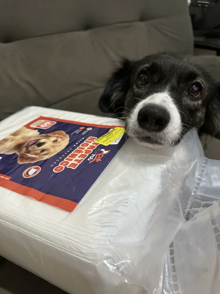 foto de Tapete Higiênico Pet 30 Unidades 90x60 Descartável Cão Gato
