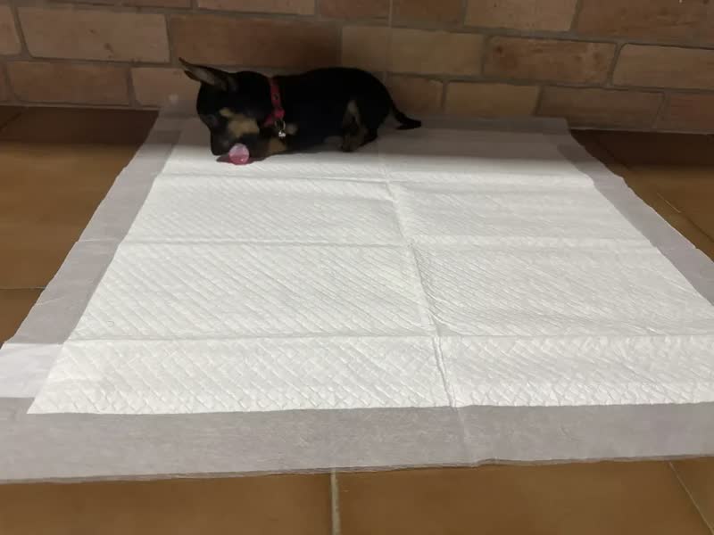 foto de Tapete Higiênico Pet 30 Unidades 90x60 Descartável Cão Gato