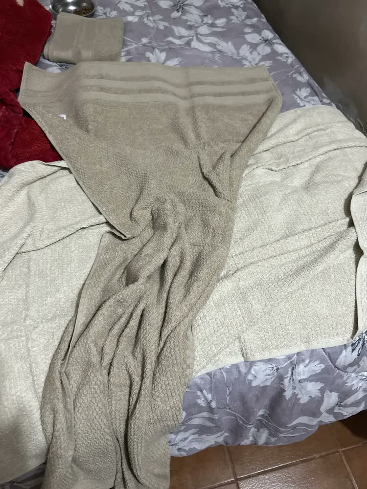 foto de Jogo De Toalha Buddemeyer Luar Banho E Rosto Kit Com 4