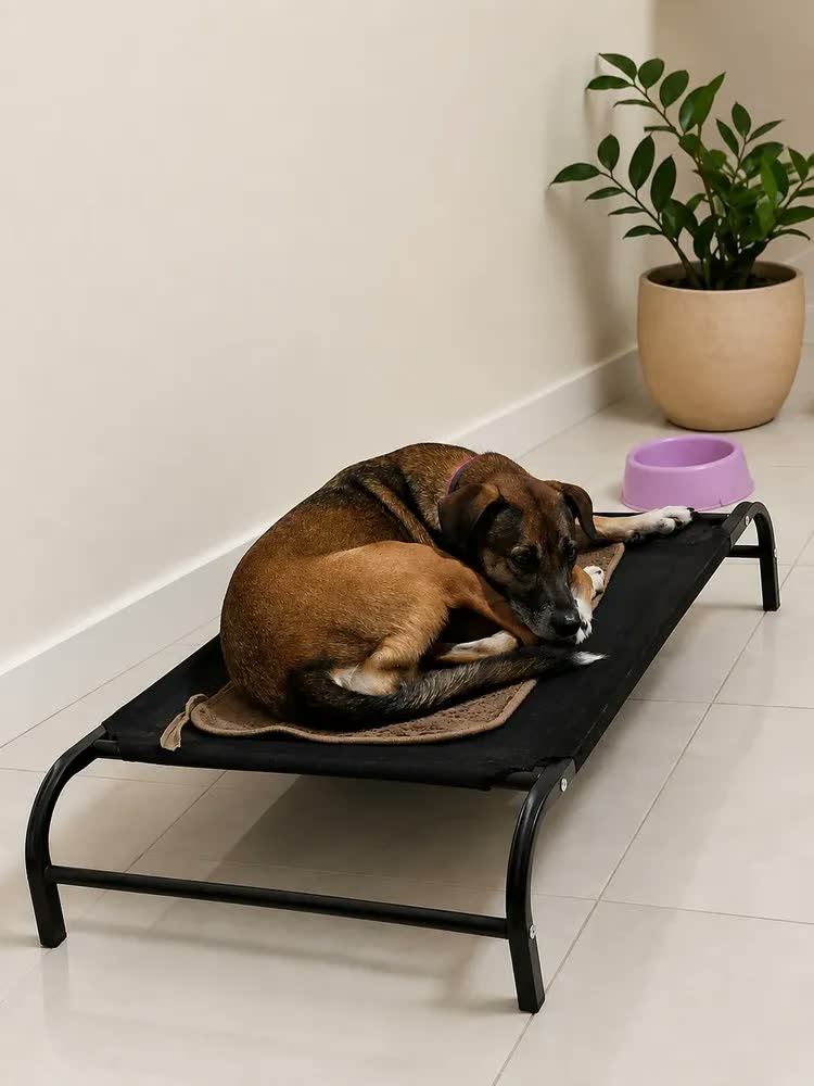 foto de Cama Suspensa Grande Cachorros Textilene Preto 93cmx58cmx18cm