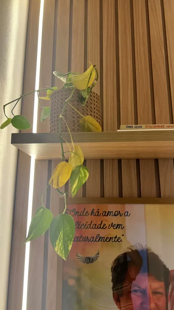 foto de Cachepot Decorativo Palhinha Mesa Chão Em Cimento Luxo Cachepot Vaso Rattan Alto Relevo Tramas