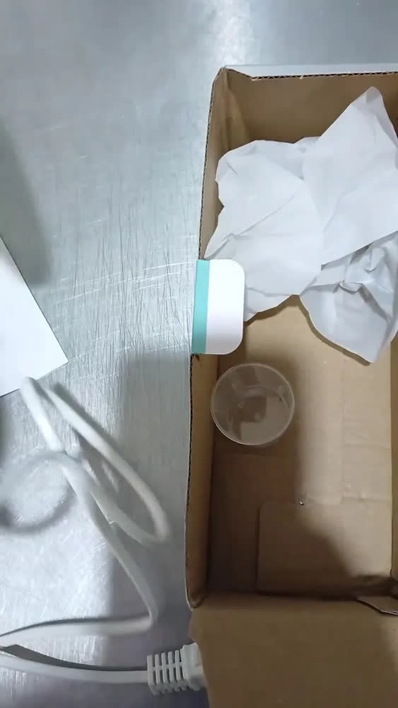 foto de Mini Ferro De Passar Roupa A Vapor Bolsa Viagem Bivolt Cor Verde-escuro CTRPRIME