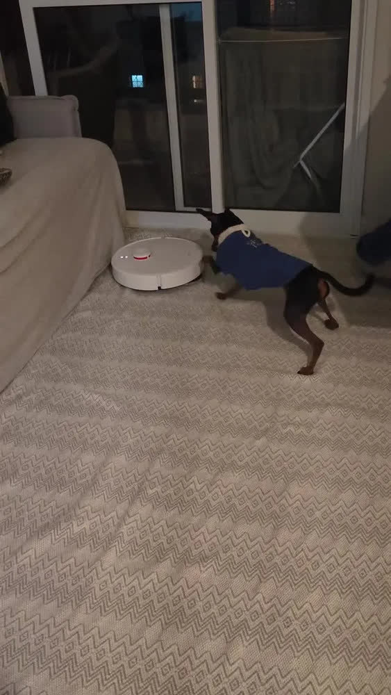 foto de Robô Aspirador Xiaomi Vacuum Robot H50 Branco