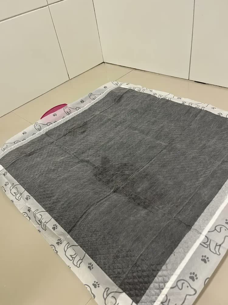 foto de Tapete Higiênico Bambu Ativado Manta Absorvente Pequeno Black