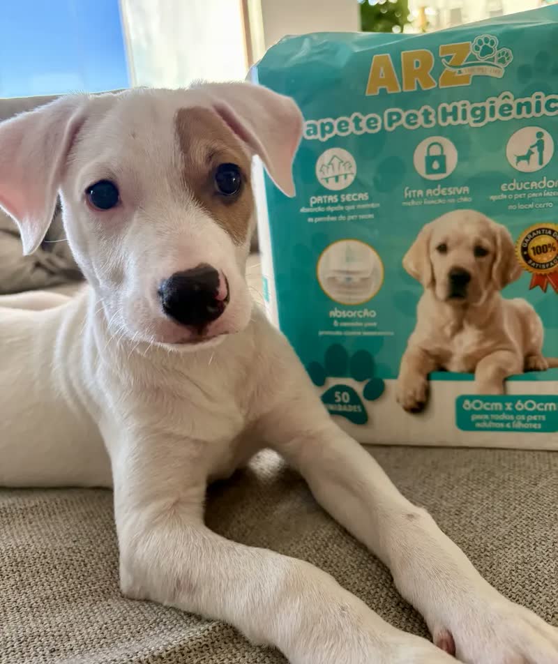 foto de Tapete Higiênico Ultra Pet Arz 80x60cm 50 Unidades Branco