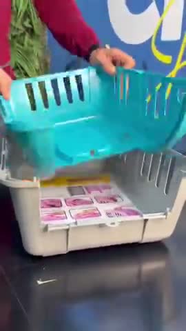 vídeo do produto
