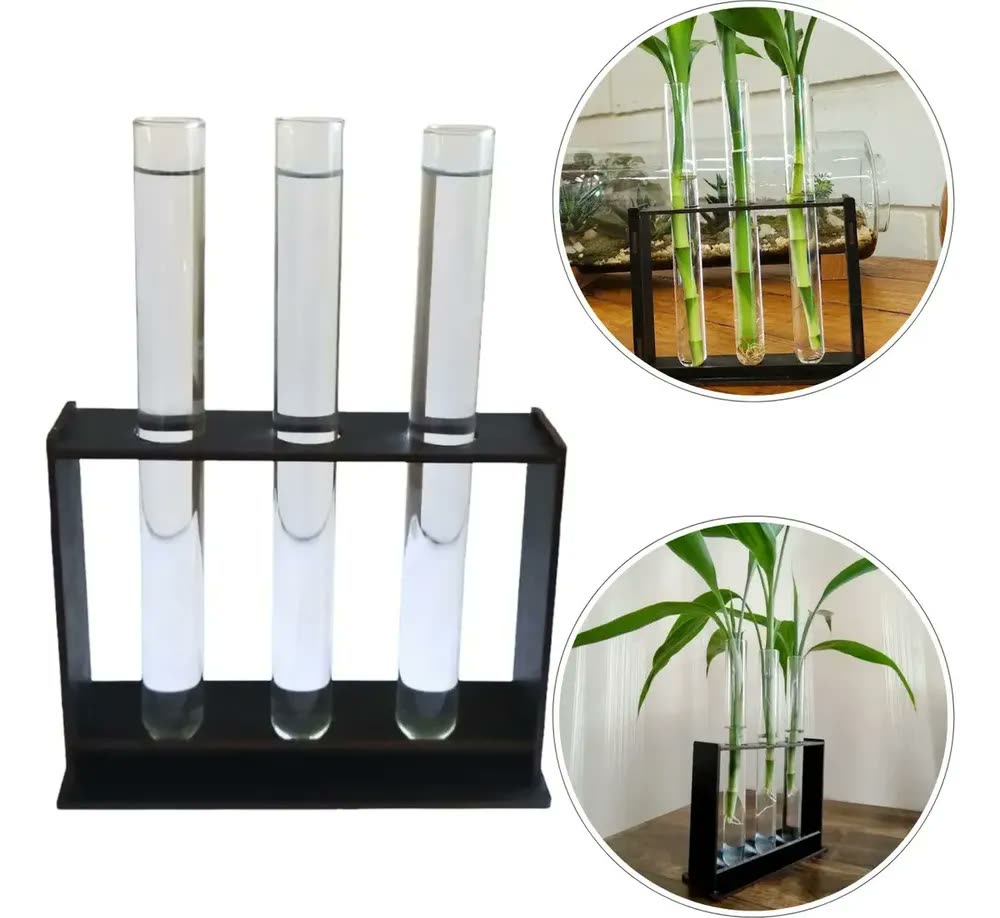 Vaso Tubo Vidro Ensaio Decoração Bambu Planta Areia Suporte Transparente / Madeira Escura Liso