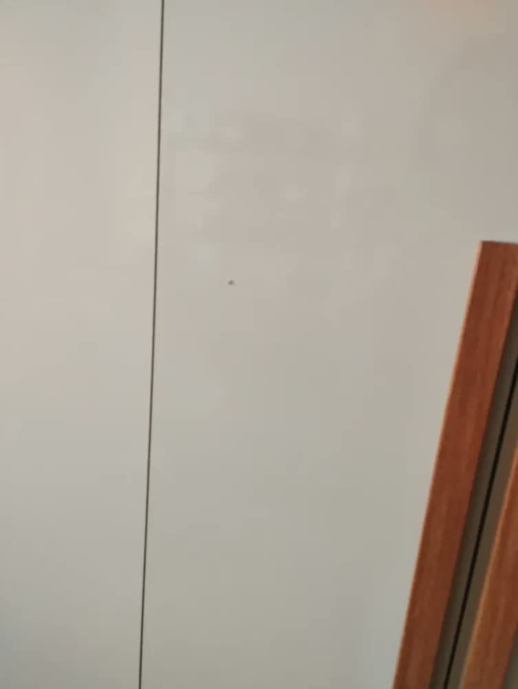 foto de Guarda-roupa Casal Odisseia 6 Portas Cinamomo/off White - 58 Bege Claro