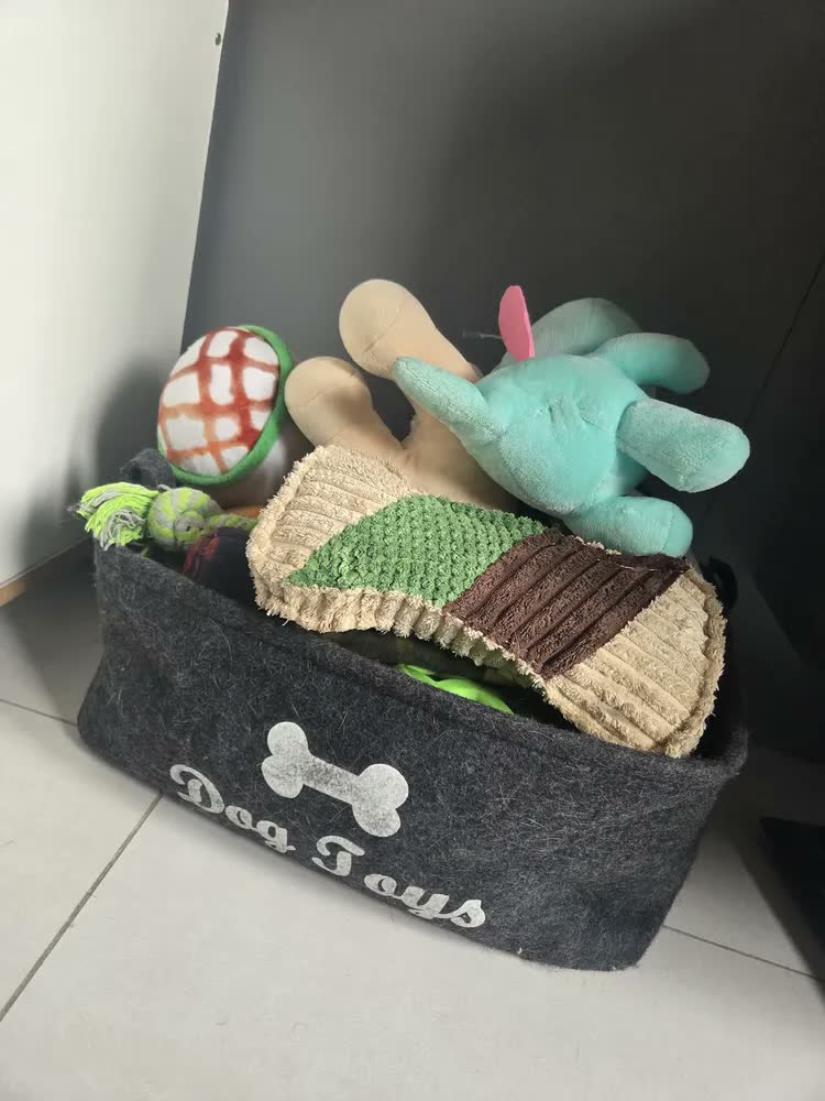 foto de Cesto Organizador Objetos Brinquedos Pet Cachorro Gato Cão Cor Preto
