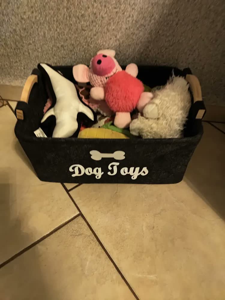 foto de Cesto Organizador Objetos Brinquedos Pet Cachorro Gato Cão Cor Preto