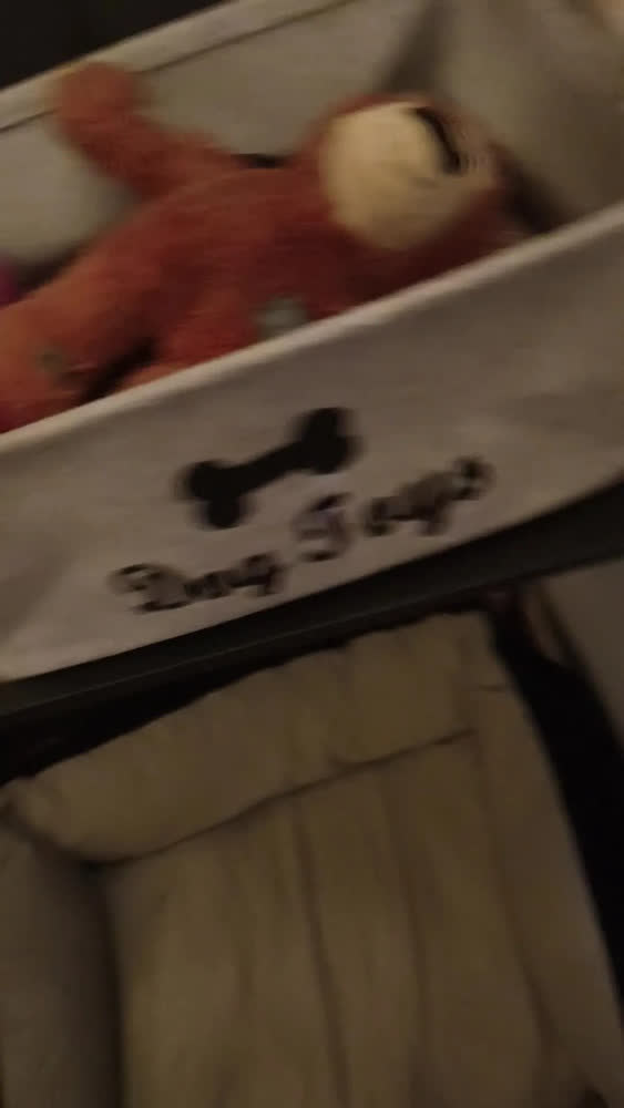 foto de Cesto Organizador Objetos Brinquedos Pet Cachorro Gato Cão Cor Preto