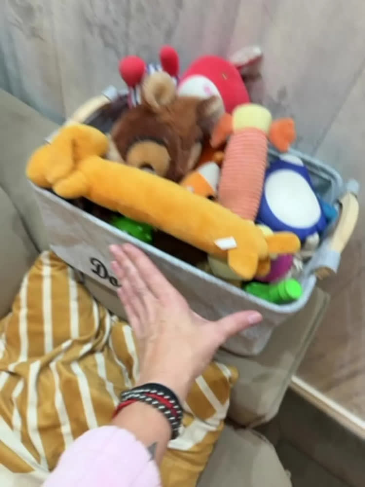 foto de Cesto Organizador Objetos Brinquedos Pet Cachorro Gato Cão Cor Preto
