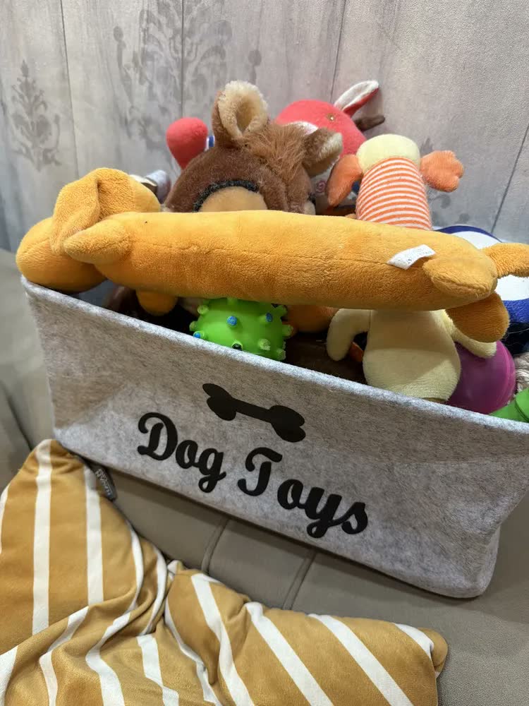 foto de Cesto Organizador Objetos Brinquedos Pet Cachorro Gato Cão Cor Preto
