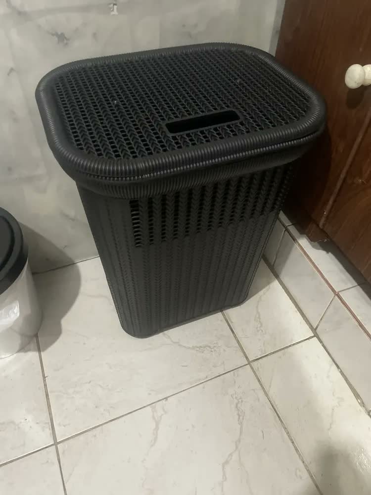 foto de Cesto Para Roupa Suja Ou Limpa Organizador Ultra Resistente Nude