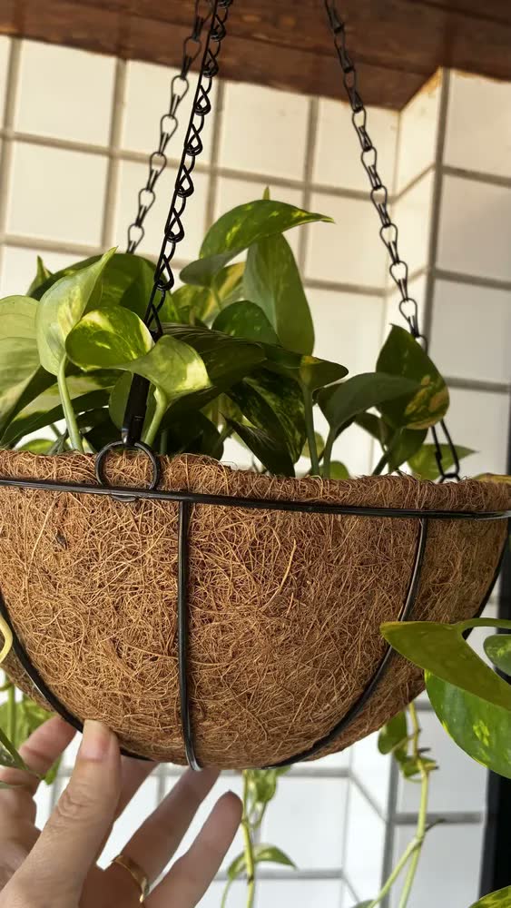 foto de 2 Vasos Planta Suspenso Pendurar Cachepot Xaxim Fibra Coco Marrom Fibra De Coco Natural