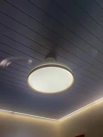 foto de Ventilador De Teto 36