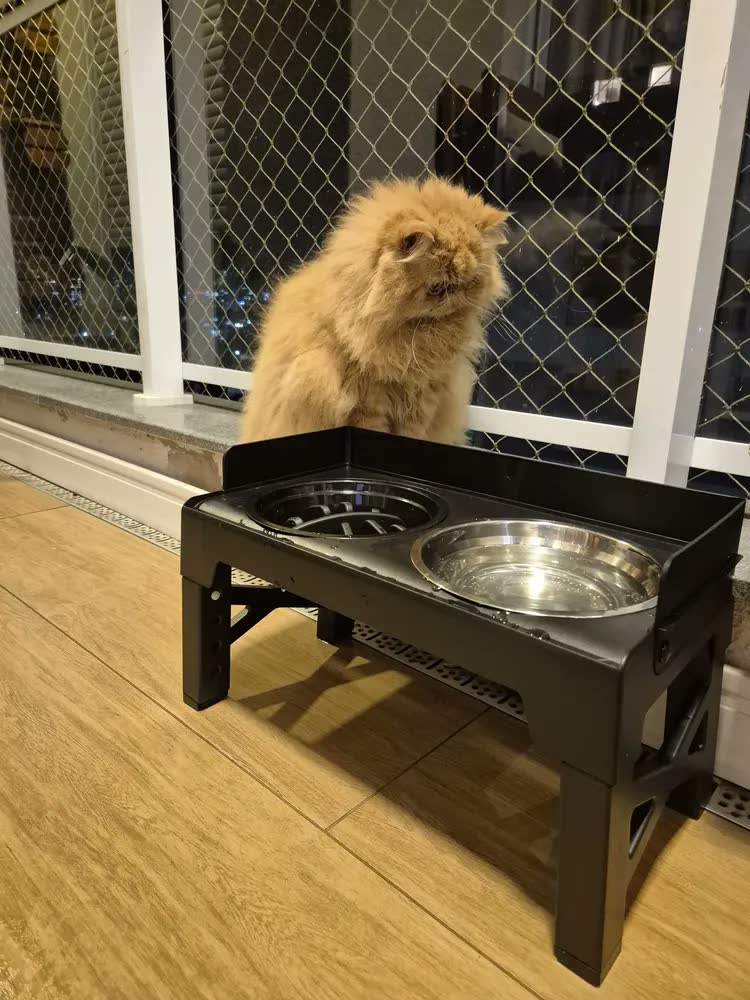 foto de Comedouro Bebedouro para cachorro caes pets elevado Duplo inox tijela antiderrapante com regulavel com aço inoxidável para buldogue com ajuste de altura suporte 8cm 31cm com Proteção contra respingos