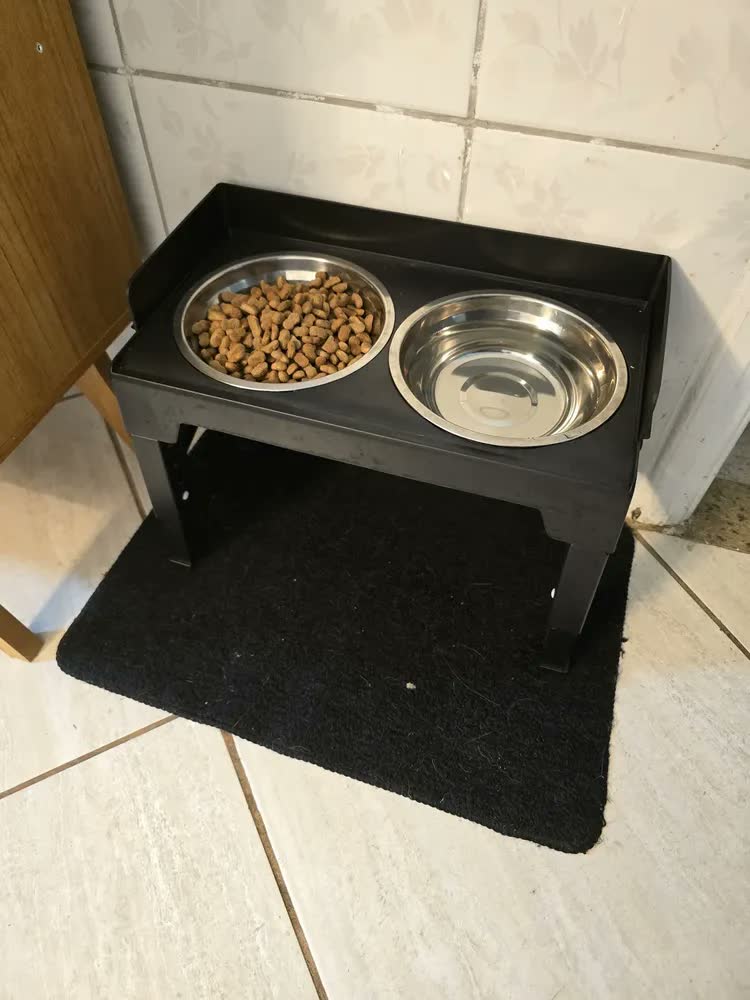 foto de Comedouro Bebedouro para cachorro caes pets elevado Duplo inox tijela antiderrapante com regulavel com aço inoxidável para buldogue com ajuste de altura suporte 8cm 31cm com Proteção contra respingos