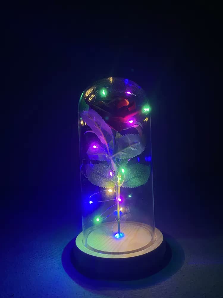 foto de Rosa A Bela E A Fera - Pequeno Príncipe Cúpula No Vidro Led Madeira