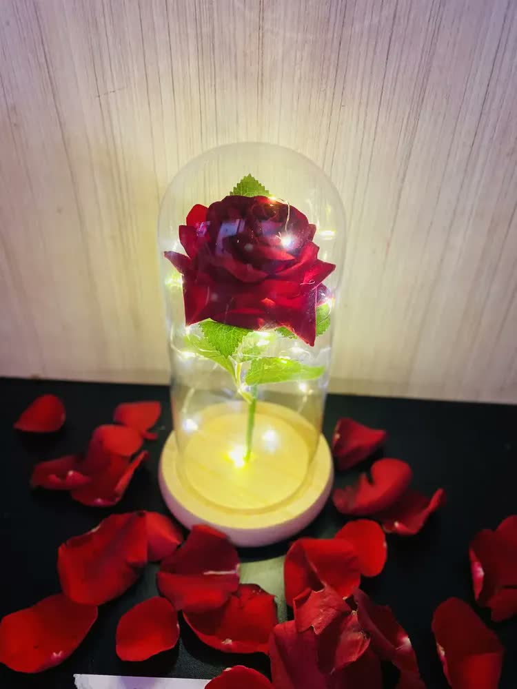foto de Rosa A Bela E A Fera - Pequeno Príncipe Cúpula No Vidro Led Madeira