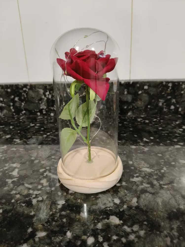 foto de Rosa A Bela E A Fera - Pequeno Príncipe Cúpula No Vidro Led Madeira