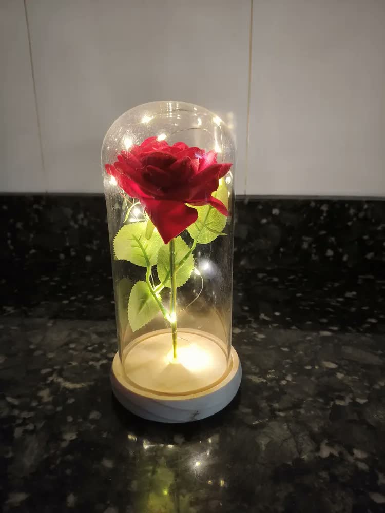 foto de Rosa A Bela E A Fera - Pequeno Príncipe Cúpula No Vidro Led Madeira